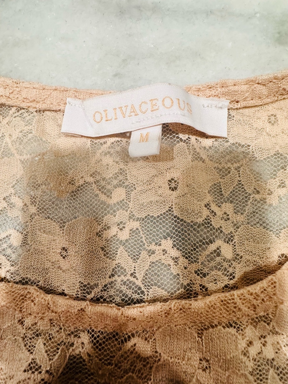 Olivaceous Sheer Floral Lace Camisole - Nude